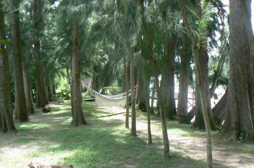 Posada Barlovento Tigre Kamer foto